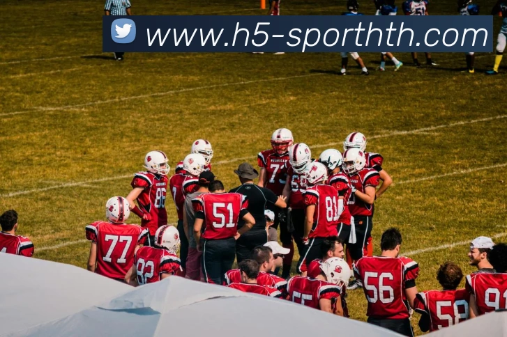 华体会体育平台生态图